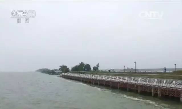 无锡太湖蓝藻持续时间,无锡太湖蓝藻爆发事件影响