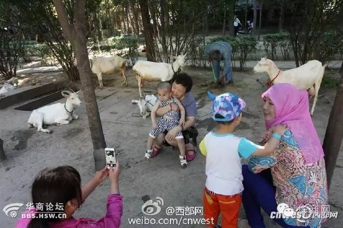 陕西西安女子被拖走后续,西安一女子骑车时手机被偷