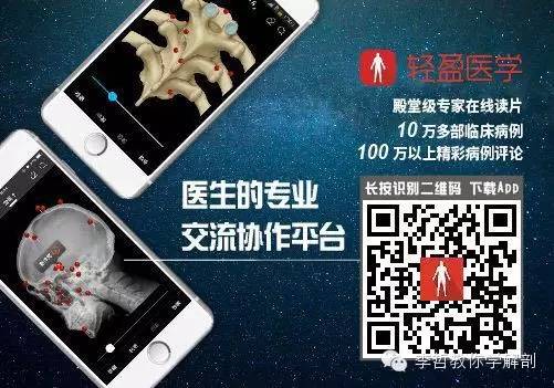 正中神经支配区域,一条神经属于器官吗