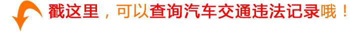 佛山车主如何查违章,玉林车管所处理违章