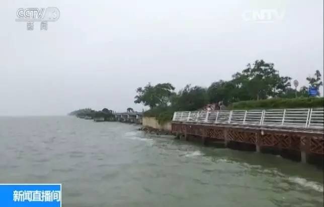 无锡太湖蓝藻持续时间,无锡太湖蓝藻爆发事件影响