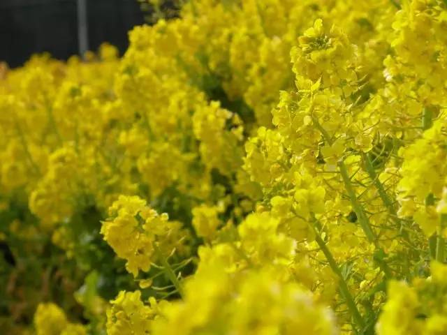 走进古村落寻找童年的记忆,到古老的小山村采风