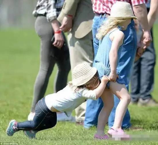 世界之最小公举盘点｜波妹夜话