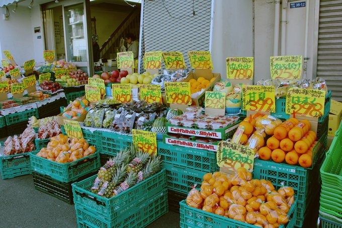 日本东京两人旅游,日本东京到北海道