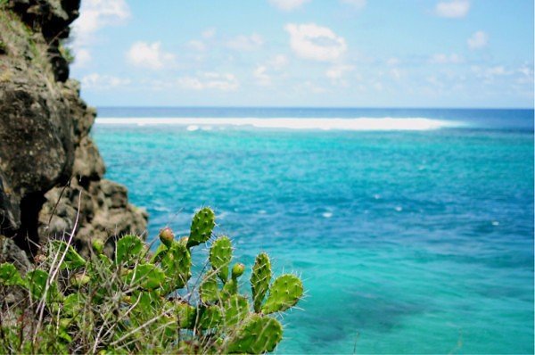 毛里求斯梦幻海岛行,毛里求斯海陆空旅游攻略