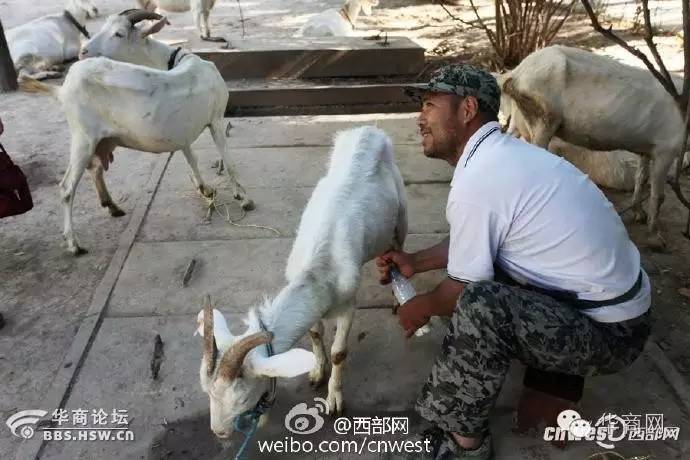 陕西西安女子被拖走后续,西安一女子骑车时手机被偷