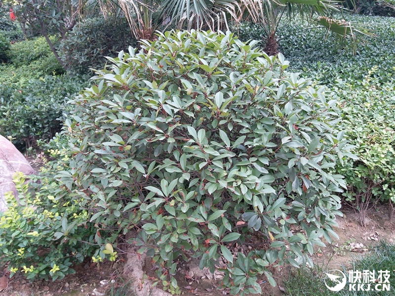 三星galaxyc5详细参数在哪看,三星galaxy799元