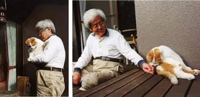 croissant猫咪原视频,croissant猫系列