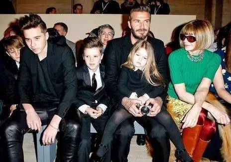 世界之最小公举盘点｜波妹夜话