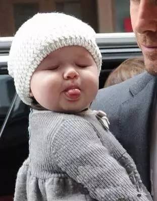 世界之最小公举盘点｜波妹夜话