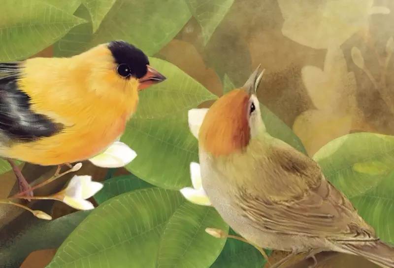 茵曼：踩准流量红利的节拍商评好文开放