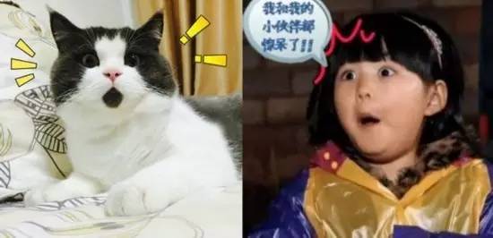 坐-107°C冰桶里做理疗？你别不信！