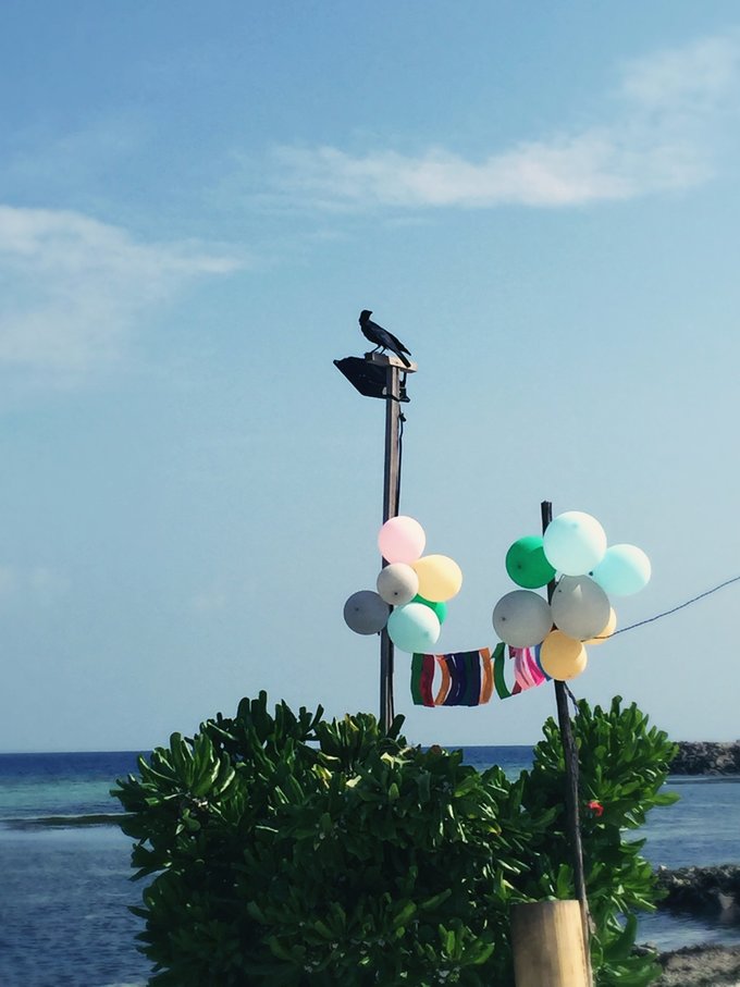 马尔代夫自由行七日游人均两万,马尔代夫一个人3天旅游费用