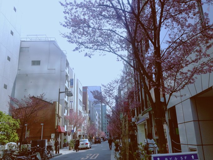 日本东京两人旅游,日本东京到北海道