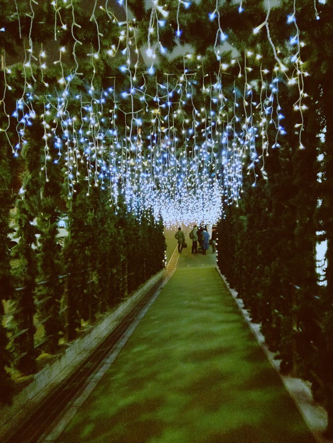 日本东京两人旅游,日本东京到北海道