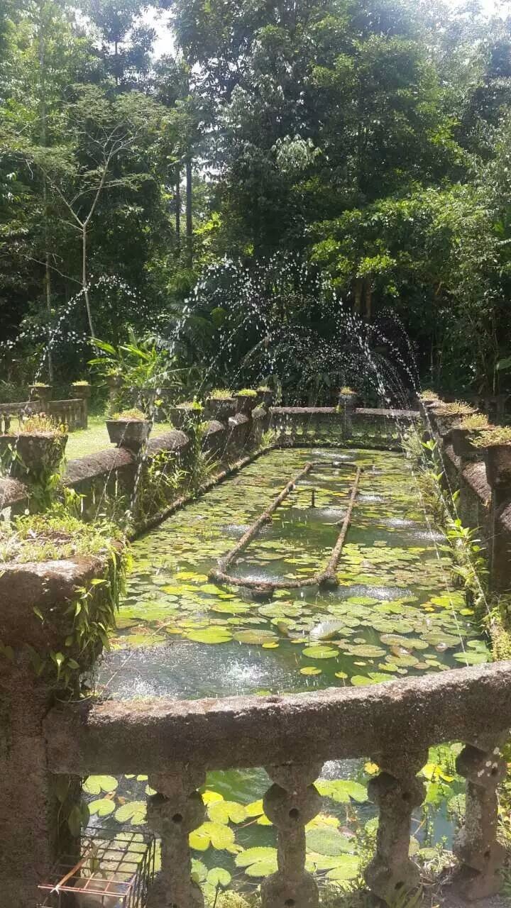 澳大利亚昆士兰州自由行攻略,澳洲三个月之旅