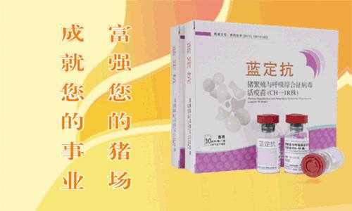 肉牛主要病防治技术有哪些,牛蹄病的原因及防治