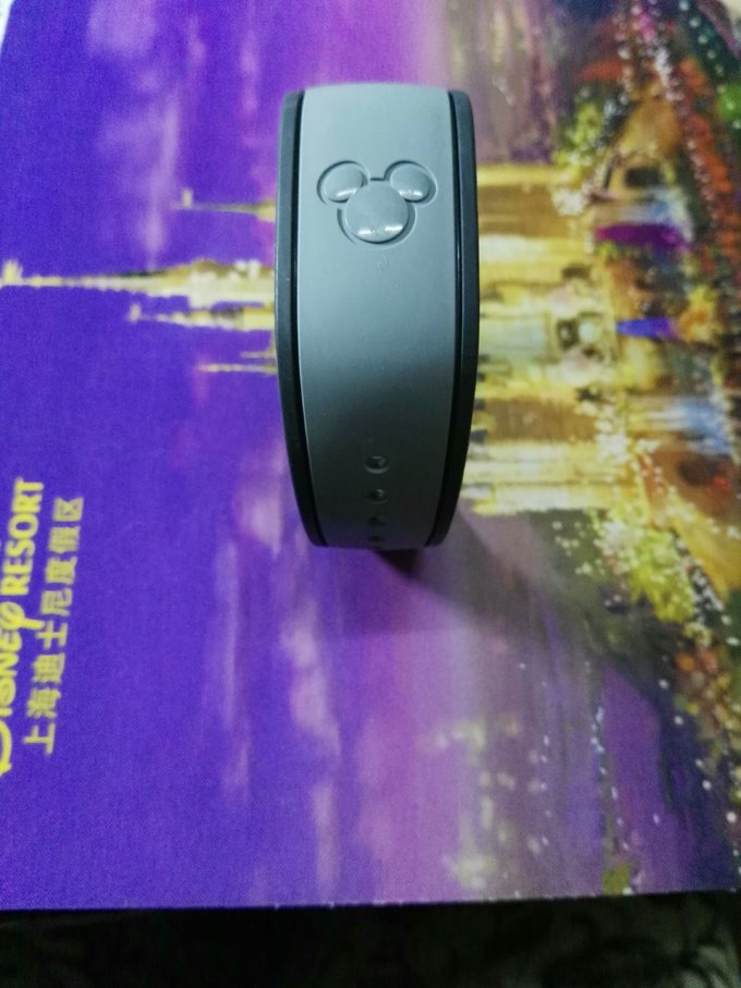 上海迪士尼度假区致歉,上海迪士尼事件感想