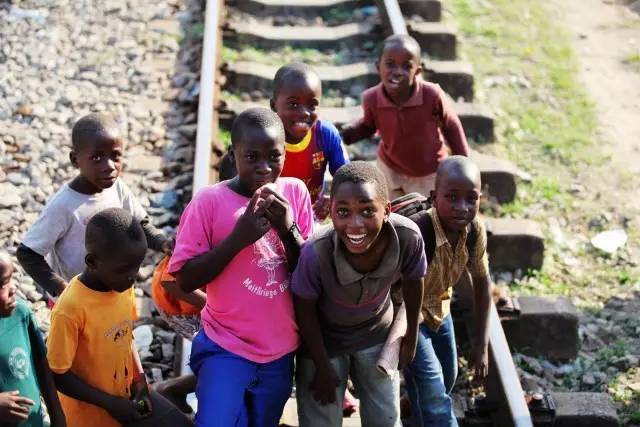 特约专栏|眼界再远,也不妨回头看看“摇篮”