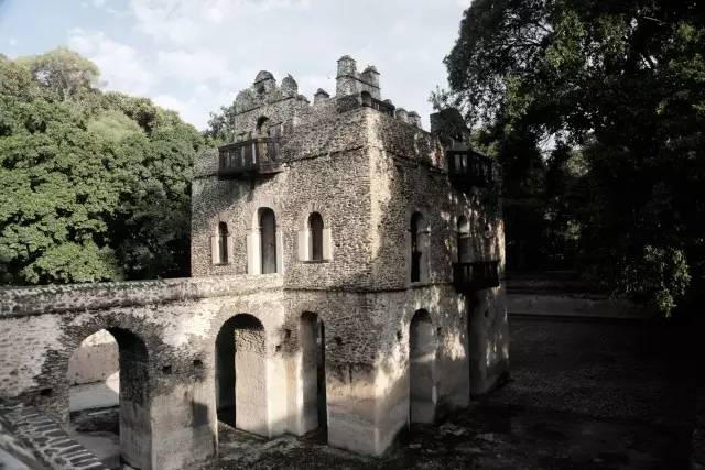 特约专栏|眼界再远,也不妨回头看看“摇篮”