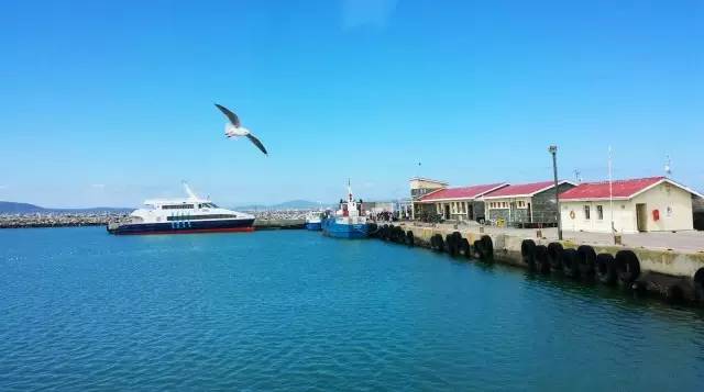 特约专栏|眼界再远,也不妨回头看看“摇篮”