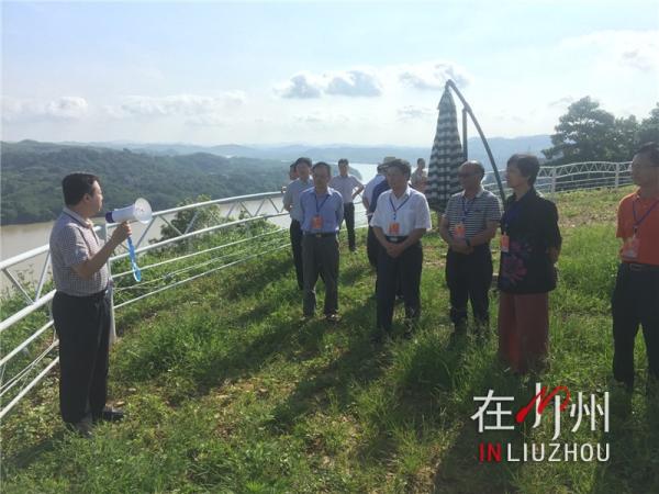 柳州租电动车好还是汽车好,柳州哪里可以租到电动汽车