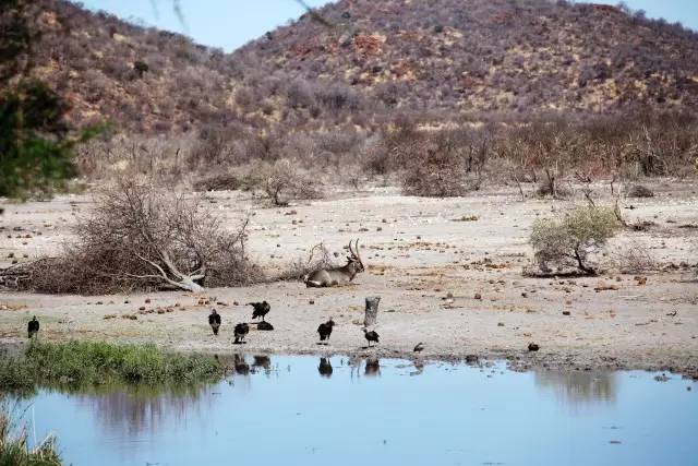 特约专栏|眼界再远,也不妨回头看看“摇篮”