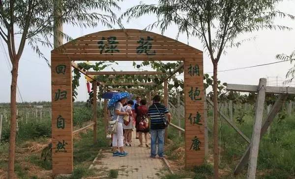 洛阳必吃美食排行榜西工区,洛阳十大必吃美食