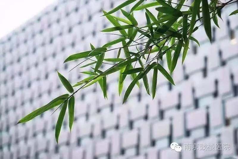 健康义诊免费专家,健康讲座专家