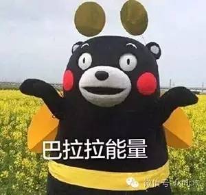 清迈丨宁可错过人妖秀，不可错过下午茶！