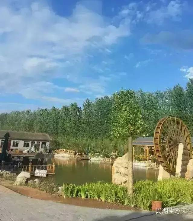 洛阳必吃美食排行榜西工区,洛阳十大必吃美食