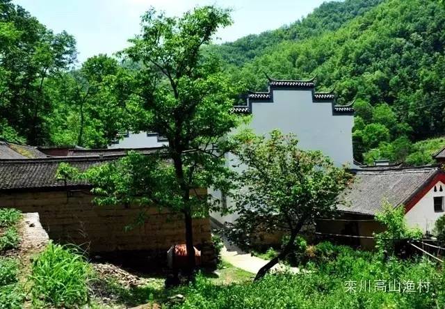 洛阳必吃美食排行榜西工区,洛阳十大必吃美食