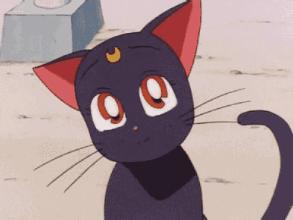 洛阳必吃美食排行榜西工区,洛阳十大必吃美食