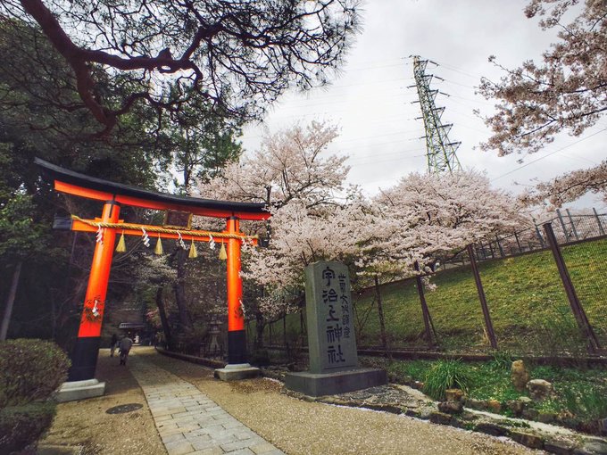 201410到201604的8次日本行