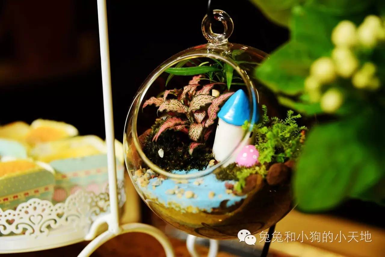 皇家御庭店,普拉提皇家御庭