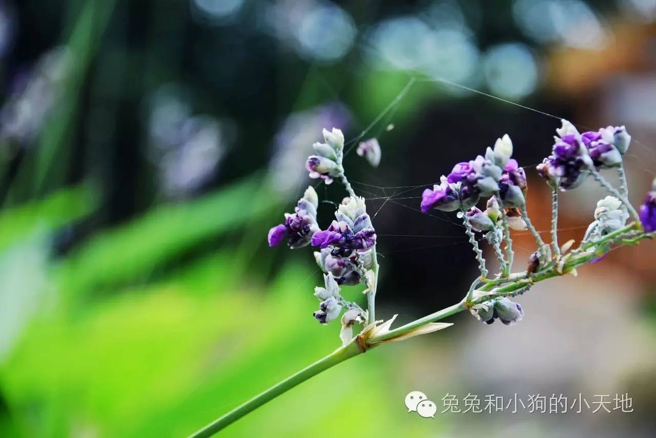 皇家御庭店,普拉提皇家御庭