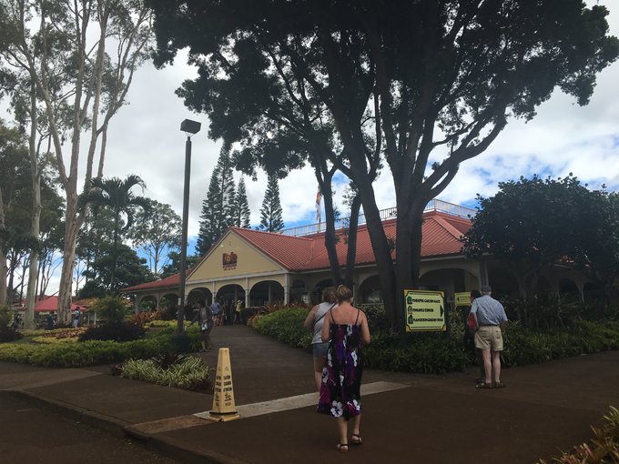 没有意外是哪句电影台词,夏威夷旅行说明
