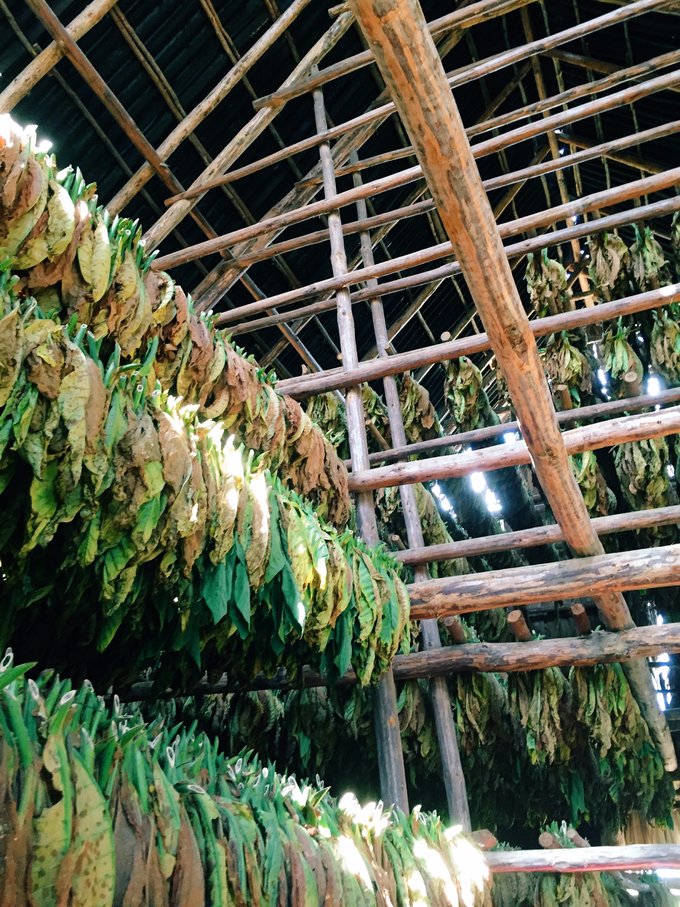 【失落-享受-反思】古巴西部10日