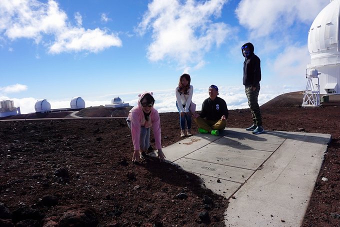 没有意外是哪句电影台词,夏威夷旅行说明