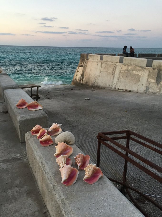 巴哈马旅游风景2020,巴哈马海滩旅游攻略