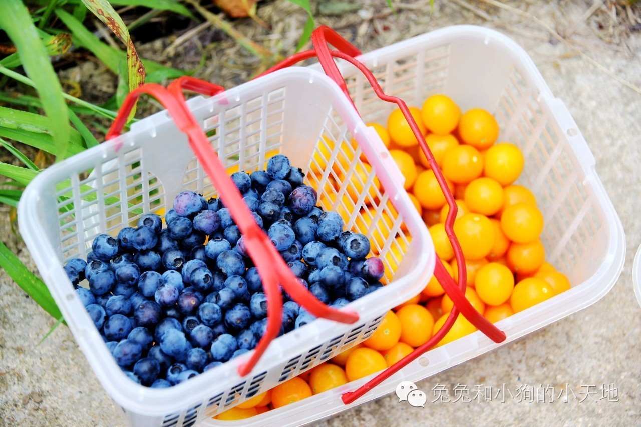 皇家御庭店,普拉提皇家御庭