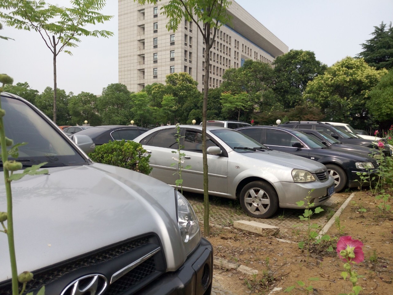 蚌埠市最近拍卖公告,蚌埠拍卖车辆