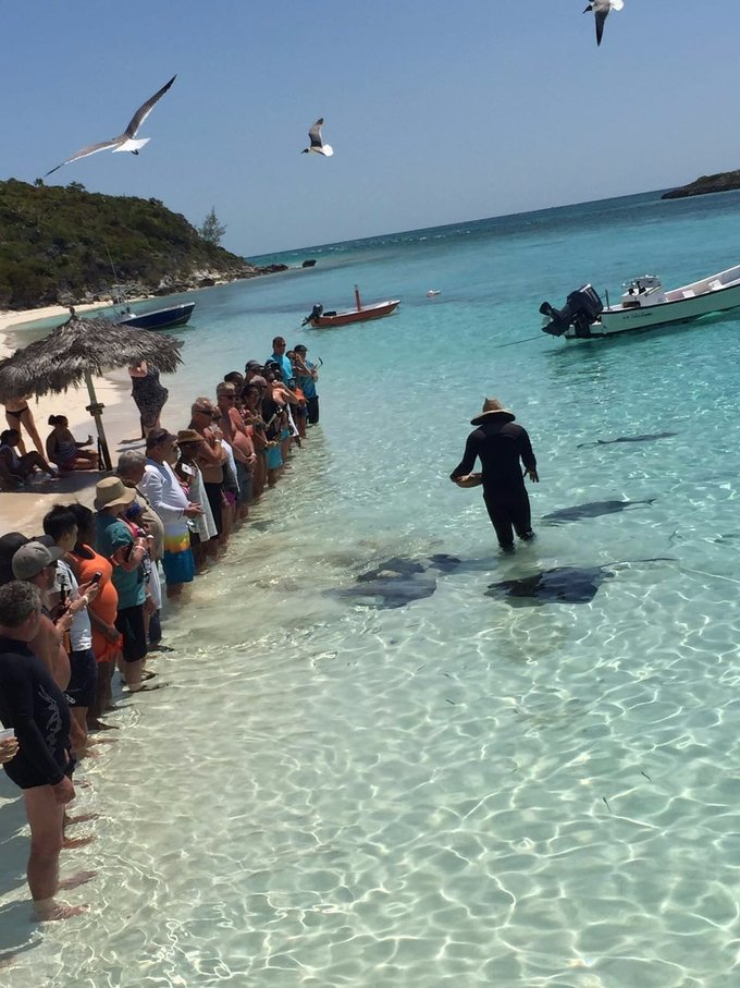 巴哈马旅游风景2020,巴哈马海滩旅游攻略