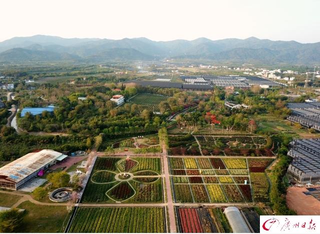 文旅局五一旅游,旅游局长推介旅游