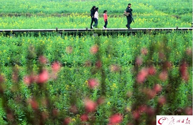 文旅局五一旅游,旅游局长推介旅游