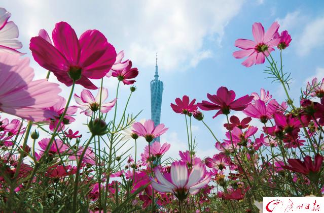 文旅局五一旅游,旅游局长推介旅游