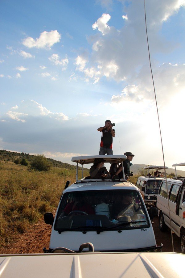 肯尼亚5天难忘的野生动物园,肯尼亚野生动物之旅