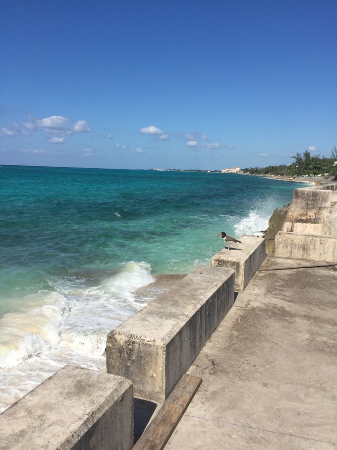 巴哈马旅游风景2020,巴哈马海滩旅游攻略