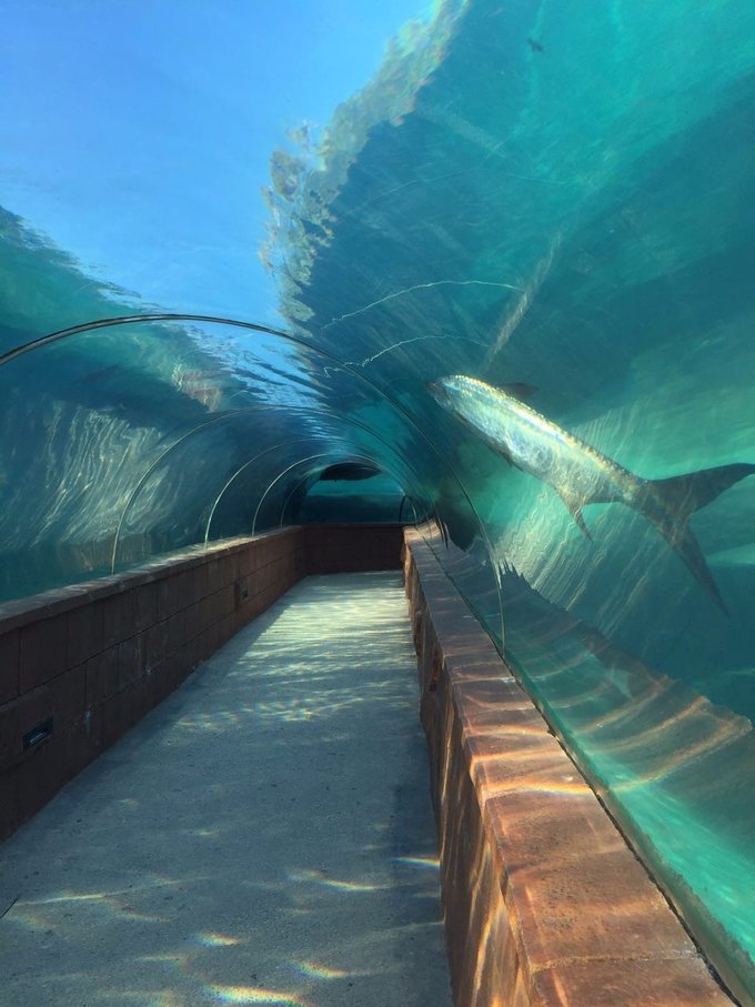 巴哈马旅游风景2020,巴哈马海滩旅游攻略