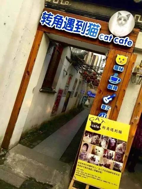 路牌带我抵达这里，而不是谷歌、百度、高德地图｜群分享